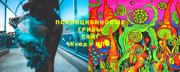 прущий лед Алзамай
