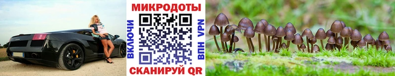 Псилоцибиновые грибы прущие грибы  как найти наркотики  Михайловск 