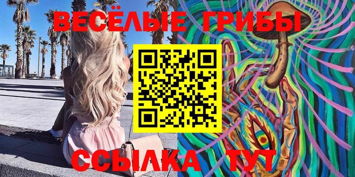 Псилоцибиновые грибы Psilocybe Михайловск